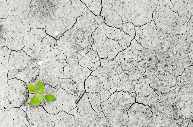 Siccit&agrave;: il sacrificio agli dei degli sciamani in Australia