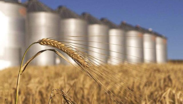 La Turchia conferma: Mosca e Kiev collaboreranno a  Istanbul per esportare il grano ucraino