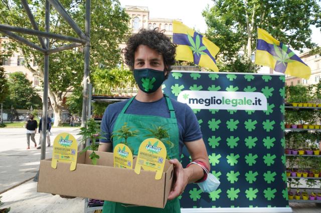 Mattia Santori e la cannabis: la "meglio giovent&ugrave;"?