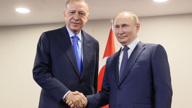 Le condizioni di Putin per sbloccare il grano ucraino: "Togliete le sanzioni sul grano russo". 