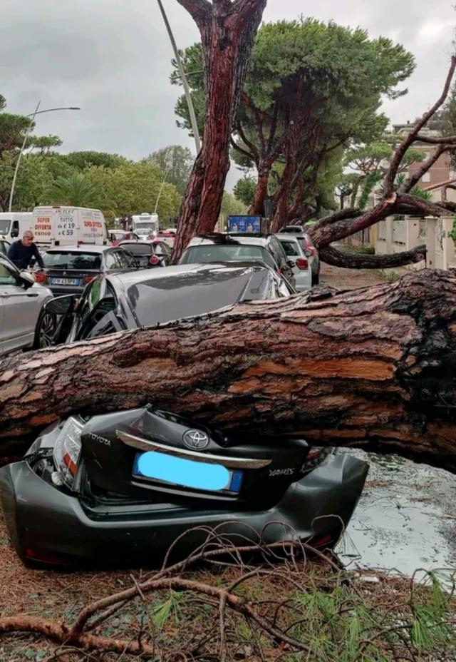Nubifragio in Toscana: raffiche di vento a 140 km/h. Due morti a Lucca e Carrara e decine di feriti