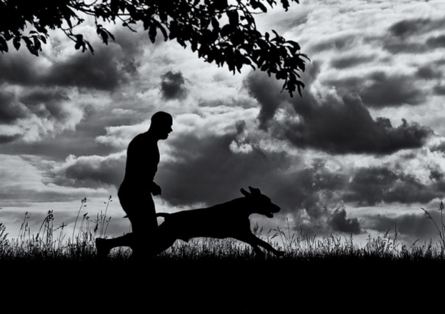 Fa sesso con il cane e finisce in ospedale: 55enne evirato per infezione. Ha rischiato la vita