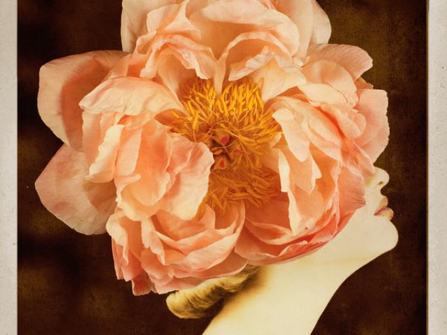 Milano ricorda Giovanni Gastel con la mostra Flowers