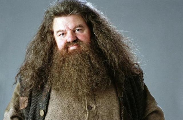 Robbie Coltrane: causa morte, malattia e tumore del mitico Hagrid di Harry Potter