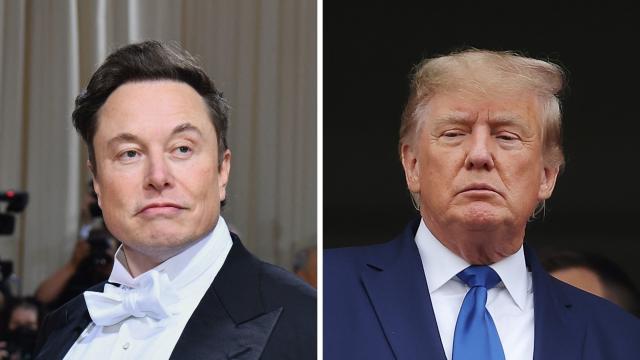 Twitter, Musk gela Trump: &ldquo;Per essere riammessi serviranno settimane&rdquo;