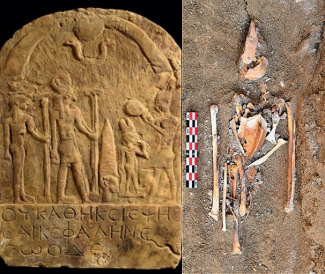 Egitto, scoperto a Berenice il macabro santuario del dio-falco: "Centinaia di sacrifici animali"