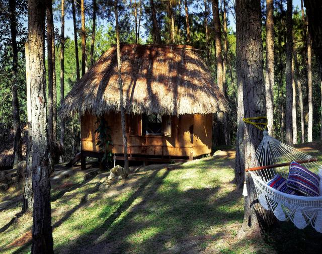 Due minori fanno sesso in bungalow: una 55enne li spia, poi entra e propone un rapporto a 3. Loro rifiutano e lei li molesta