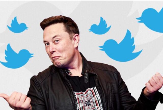 Twitter, Elon Musk lancia la spunta blu a 8 dollari