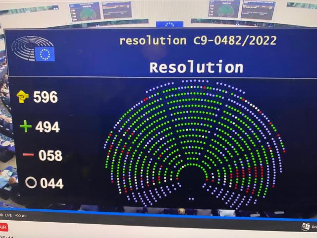 "Russia Stato terrorista", il Parlamento Ue imita l'assemblea parlamentare Nato. 4 italiani contrari