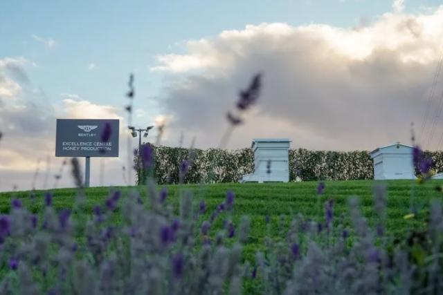 Grand Tourer di Bentley: massima attenzione all&rsquo;eccellenza  