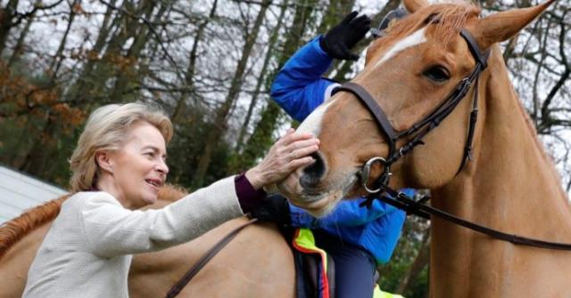 Ursula von der Leyen, lupo uccide il pony e lei scrive al Parlamento Ue per rivalutarne la protezione