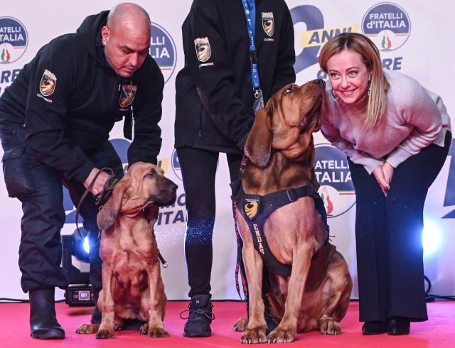 Festa di FdI, Meloni: "Guardo il Pil, non i sondaggi. Stravolgeremo pronostici su durata Governo"