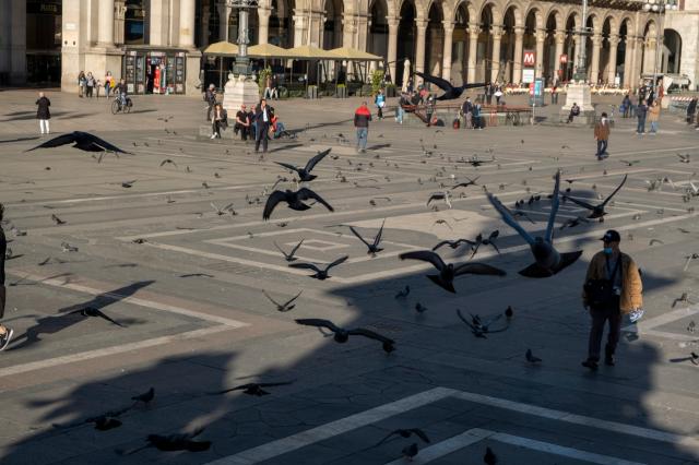 dopo i cinghiali vogliono fare fuori i piccioni