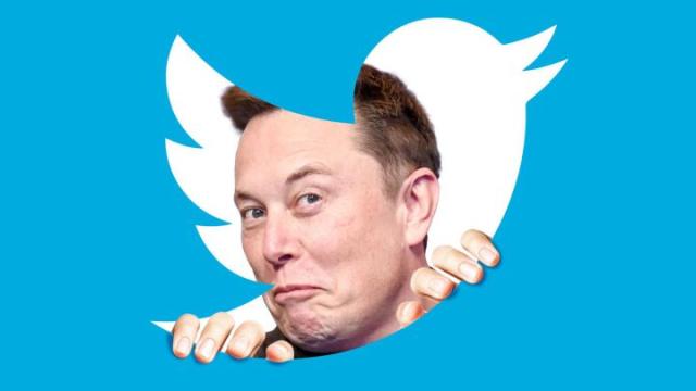 Twitter, Elon Musk non paga l'affitto