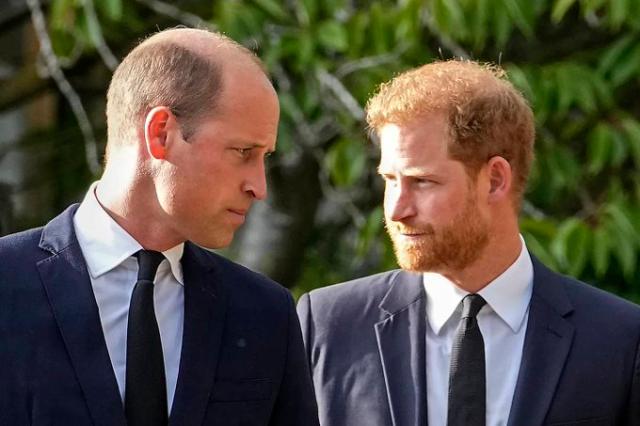 Principe Harry, rivelazione choc sul fratello William: "Mi ha buttato a terra quando gli ho detto del matrimonio con Meghan"
