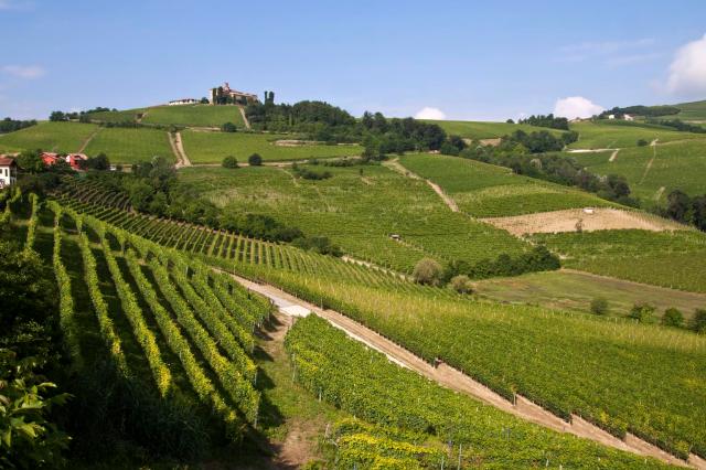 Le langhe a stelle e strisce, barolo e tartufo conquistano  gli americani