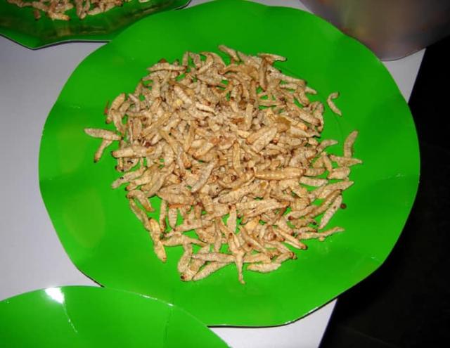 Larve di verme della farina minore in commercio dal 26 gennaio: quarto insetto autorizzato dall'Ue