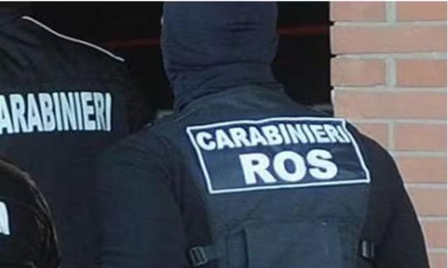 'Ndrangheta, 11 arresti in Calabria dei carabinieri del Ros per truffa e riciclaggio internazionale