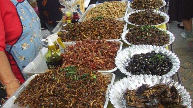 Larve insetti a tavola: adesso i padroni del discorso vorrebbero farci credere che li mangiamo da sempre