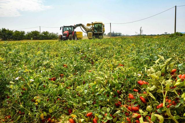 Agroalimentare, nel 2022 scoperte dai carabinieri frodi per 3,4 mln: denunciate 174 persone