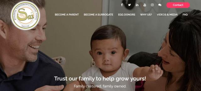 Utero in affitto, il sito web per diventare madri surrogate e guadagnare 50mila Usd 