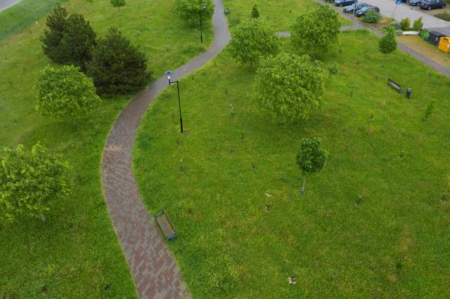 Snam, acquisito il 49% di Arbolia da Fondazione CDP: diventa azionista unico 