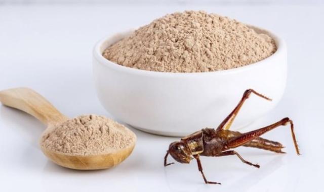 Farine di insetti, ok a decreti su etichette e scaffali ad hoc