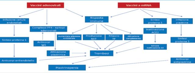 Giuseppe Barbaro, cardiologo: "Morti improvvise da vaccino Covid: nessuno vuole fare autopsie per cercare Spike, quindi non risultano" - ESCLUSIVA