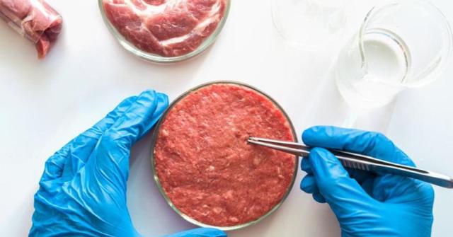 Carne sintetica, per ora l'Italia dice no: un'ottima notizia ma i globalisti non molleranno