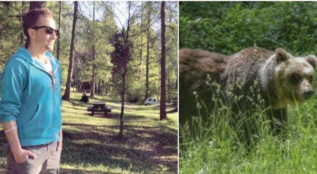 Runner ucciso da un orso in Trentino, c'&egrave; la conferma dell'autopsia. Si era difeso con un bastone