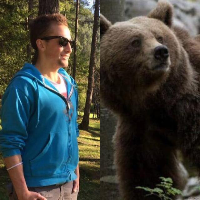 Runner morto in Trentino, &egrave; Jj4 l'orsa responsabile dell'aggressione