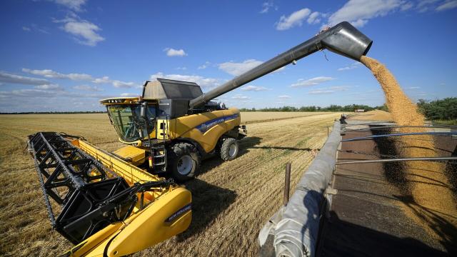Grano ucraino, stop all&rsquo;importazione da Polonia, Ungheria e Slovacchia: sfida aperta all&rsquo;Ue