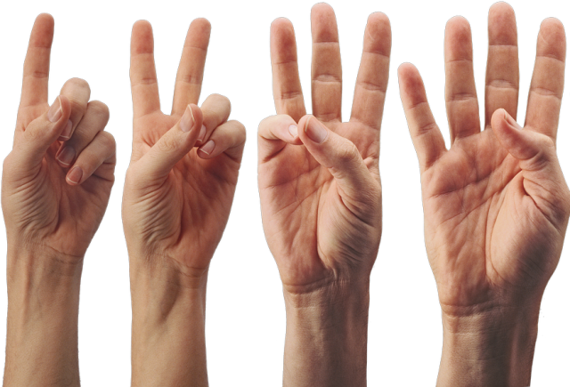 + Business: un&rsquo;unica struttura, 4 servizi con un unico network commerciale