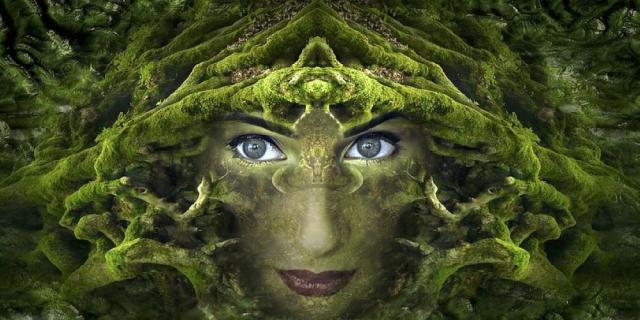 ESG. Il tema dell&rsquo;ambiente ha radici profonde. Essere se stessi, in simbiosi con la natura