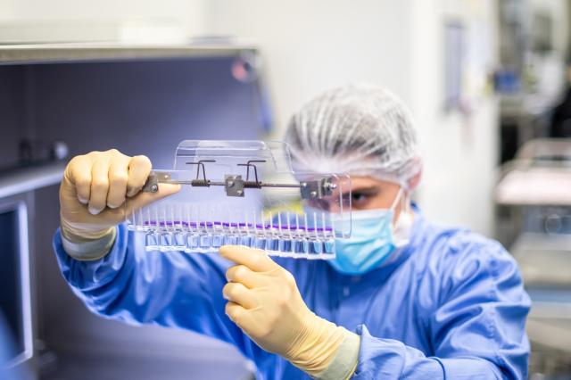 Big Pharma schiva il fisco Usa, Pfizer e Johnson & Johnson guadagnano col vaccino Covid: 110 mld di ricavi e 3 di tasse, solo il 2,7%