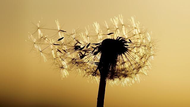 Pronto soccorso a pagamento: Ecco il modello neoliberale nella sanit&agrave;