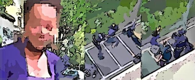 L'arresto del viado bruna