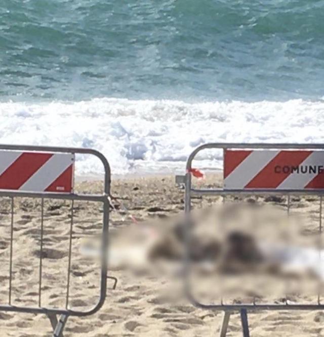 Chiavari, cadavere con testa e mani mozzate in mare, &egrave; di Mahmoud Sayed, 19enne egiziano: ipotesi: &ldquo;decapitato da elica o ucciso&rdquo;