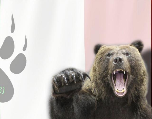 Attacchi hacker, a Genova la polizia postale  alza il livello di guardia