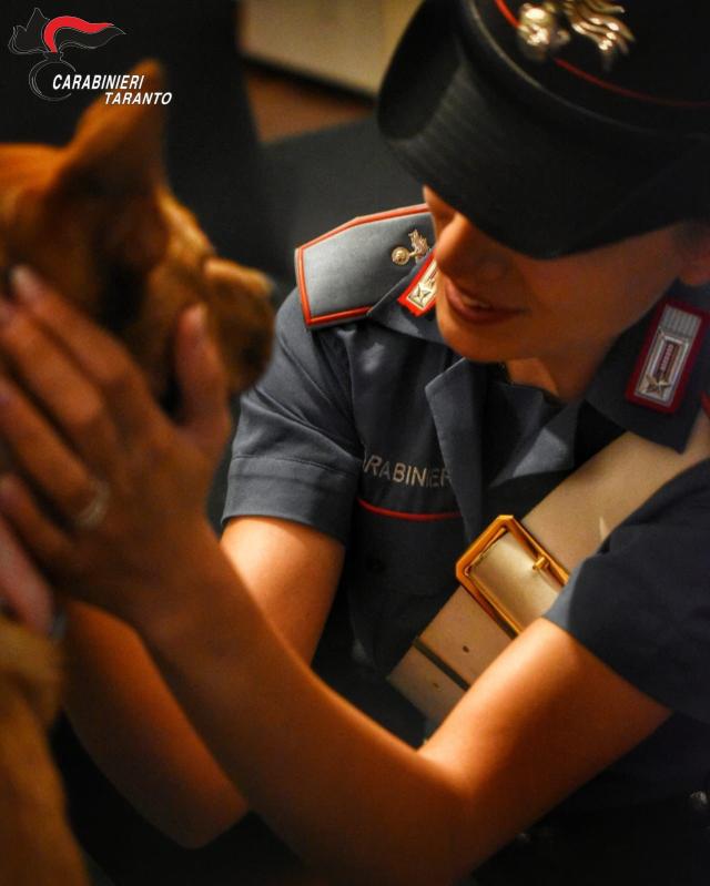 Martina Franca (TA), cagnolina maltrattata, presa a calci e lanciata a terra salvata e adottata da un carabiniere