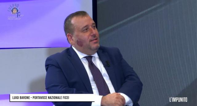 Zes unica. Luigi Barone, Ficei: &ldquo;Cos&igrave; come &egrave; strutturata non porter&agrave; a nulla, va modificata&rdquo;