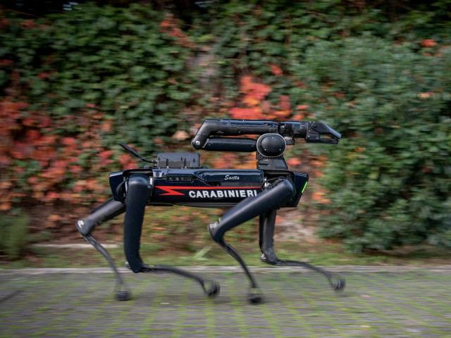Saetta, il cane robot dei Carabinieri per le operazioni rischiose: cosa fa e come funziona