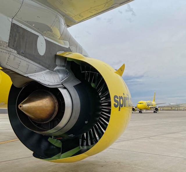 Stati Uniti, bimbo di 6 anni imbarcato sul volo sbagliato, ma non &egrave; 'Mamma ho riperso l'aereo'. L'assurda vicenda e l'errore della Spirit Airlines