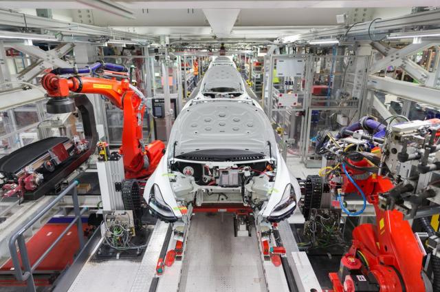 Ingegnere Tesla attaccato da un robot ad Austin, Texas: "Ha affondato gli artigli e lasciato una scia di sangue"