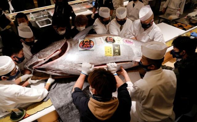 Tokio, tonno pinna blu da record venduto per 720mila euro al mercato durante l'asta del pesce 