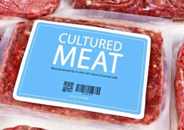 Israele, approvata la vendita di carne coltivata 'in bioreattori' e prodotta da cellule bovine: "Decisione unica al mondo"