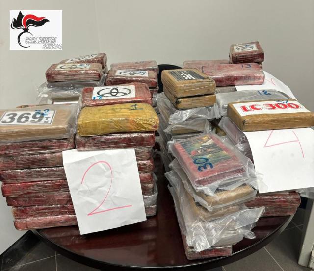 Genova, trafficanti arrestati in porto con 145 chili di cocaina nell'auto grazie ai controlli antiterrorismo