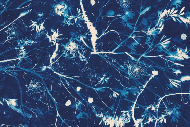 Gershwin: una Rapsodia in blu che dura cento anni