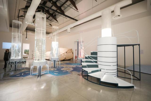 Biennale di Venezia 2024, 8mila artisti chiedono esclusione di Israele: "No al padiglione del genocidio a Gaza"