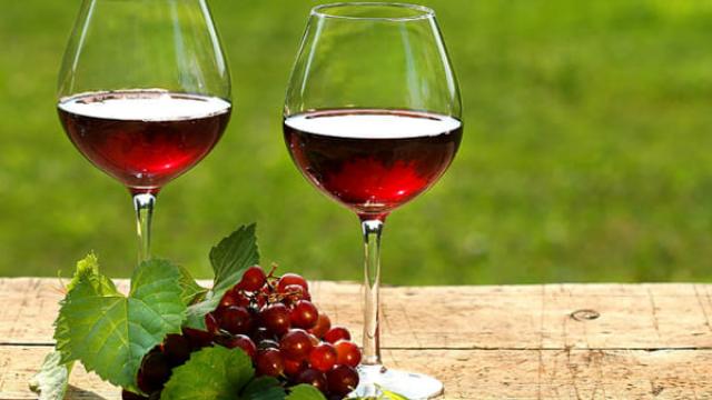 Export di vini italiani Dop, nel 2023 reggono i valori nonostante il calo delle vendite